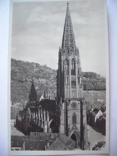 Alte AK Freiburg Münster [A11]