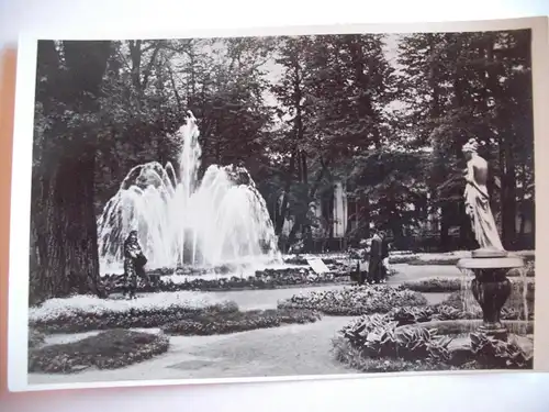 Alte AK Schloß Peterhof St. Petersburg Schloßpark [A1350]