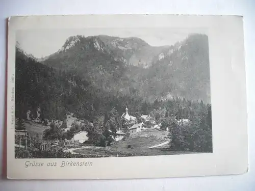 Alte AK Birkenstein um 1900 [R23]