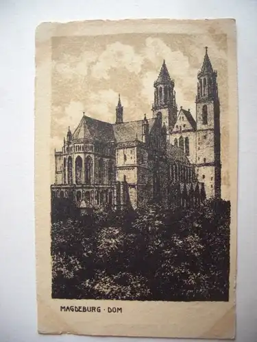 Alte AK Magdeburg Dom [B244]