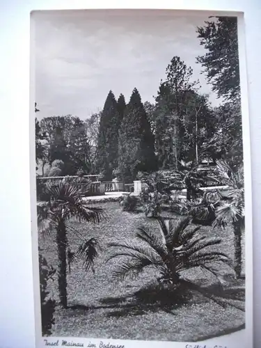 Alte AK Insel Mainau im Bodensee Südliche Gärten [B56]