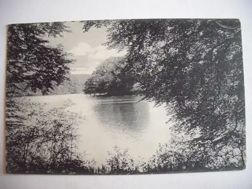 Alte AK Holsteinische Schweiz Ugleisee Ukleisee [B177]