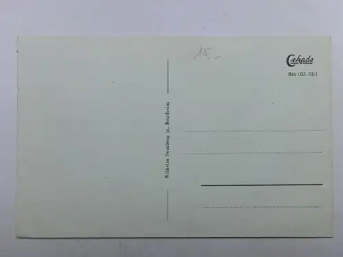 Alte AK Bad Bentheim Schloßeingang [aO1040]