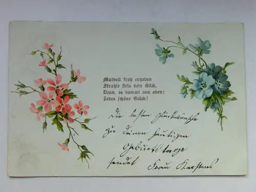 Alte AK Grußkarte Blumen 1903  [aT605]