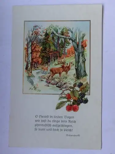 Alte AK Grußkarte Rotwild Herbst Gedicht Eichendorff [aT620]