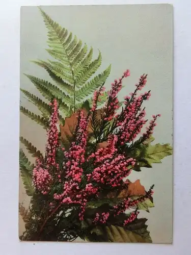 Alte AK Grußkarte Farn Erika Heidekraut 1913 [aT672]