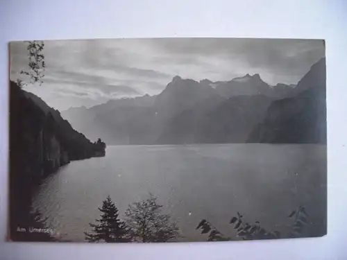 Alte AK Am Urnersee [B309]