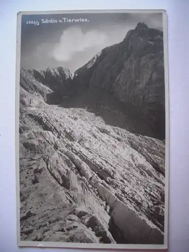 Alte AK Säntis v. Tierwies [B312]