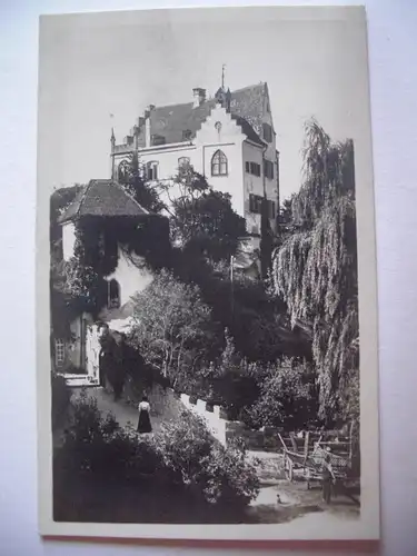 Alte AK Schloß Salenstein [B328]