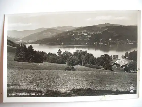 Alte AK Titisee Schwarzwald  [B46]
