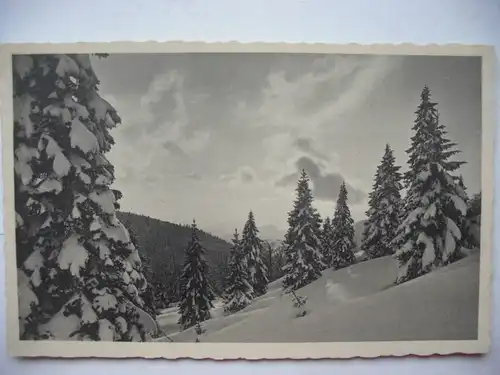 Alte AK Abendstille Wald Winter Schnee [aB71]