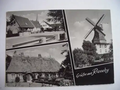 Alte AK Rieseby Mehrbildkarte [R152]