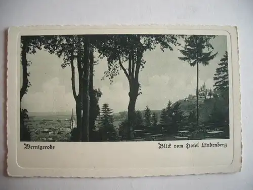 Alte AK Wernigerode Blick v. Hotel Lindenberg [R225]