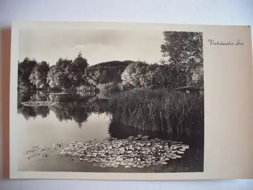 Alte AK Fotokarte Verträumter See [R362]