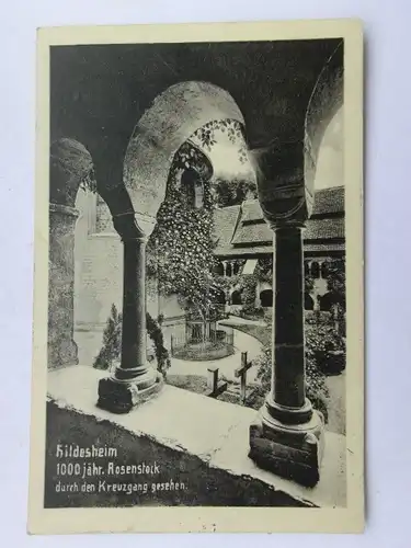 Alte AK Hildesheim 1000jähriger Rosenstock 1914 [aS44]