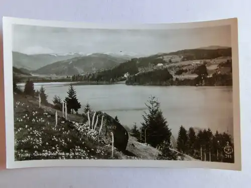 Alte AK Titisee Schwarzwald [aL547]