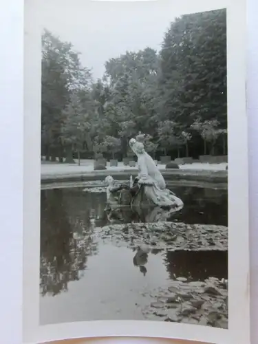 Alte AK Fotokarte Wien Schloß Schönbrunn [aL625]