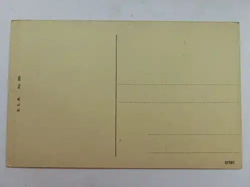 Alte AK Rüdesheim Nationaldenkmal [aS140]