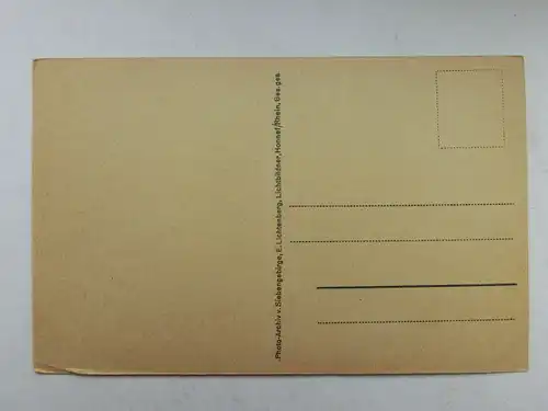 Alte AK Rolandsbogen Siebengebirge [aS440]