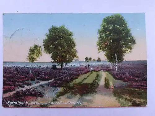 Alte AK Emmingen Heideweg Heidschnucken Erika [aP675]