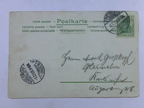 Alte AK Grußkarte Schwäne Binsen  1903  [aU25]