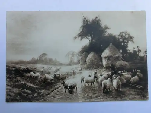 Alte AK Gemäldekarte Schafe Schafherde 1916 [aU26]