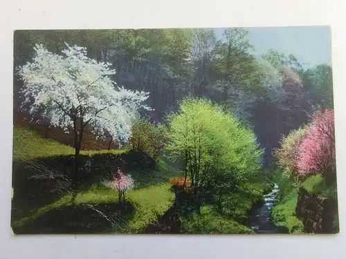 Alte AK Gemäldekarte Bäume Wald (m. Knick) [aU34]