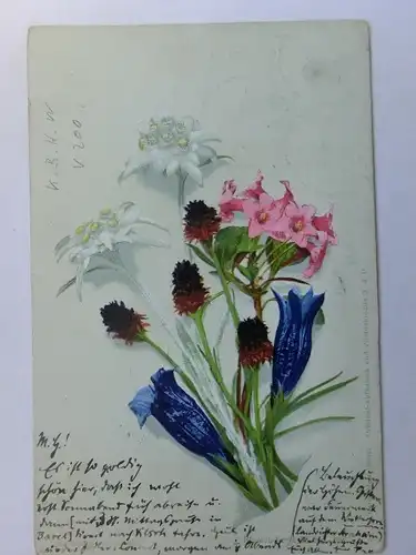 Alte AK Kunstpostkarte Alpenblumen Enzian Edelweiss …1902 [aU42]