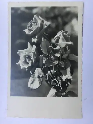 Alte AK Grußkarte Rosen 1931 [aU54]