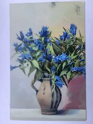 Alte AK Grußkarte Enzian in Vase 1913 [aU56]