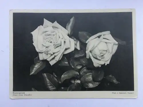 Alte AK Grußkarte Rosen 1932 [aU70]