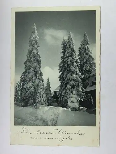 Alte AK Grußkarte Neujahr Tannen Schnee Winter 1945 [aU87]