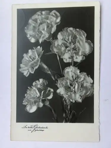 Alte AK Grußkarte Geburtstag Nelken [aU89]