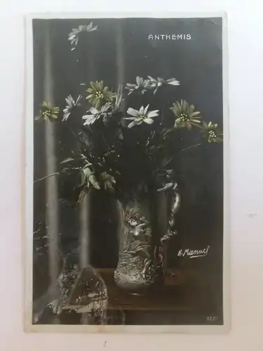 Alte AK Grußkarte Anthemis Blumen in Zinn Vase 1907 [aU91]