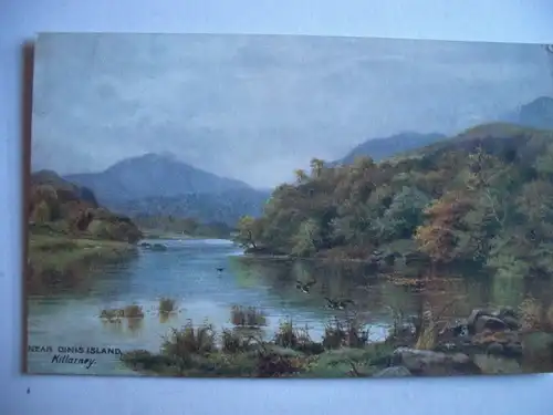 Alte AK Killarney Near Dinis Island [B925]