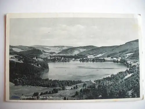 Alte AK Titisee Schwarzwald [B481]