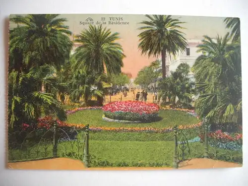 Alte AK Nordafrika Maghreb Tunesien Tunis Park Blumen [B536]