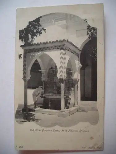 Alte AK Nordafrika Maghreb Algerien Algier Alger [B580]