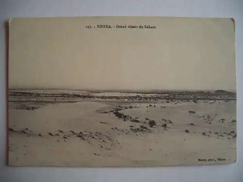 Alte AK Nordafrika Maghreb Algerien Biskra [B585]