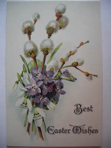 Alte AK Glückwunschkarte Ostern Easter Veilchen Palmkätzchen [W321]