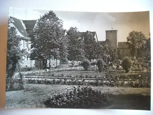 Alte AK Aschersleben Rosarium Stadtbad [W224]