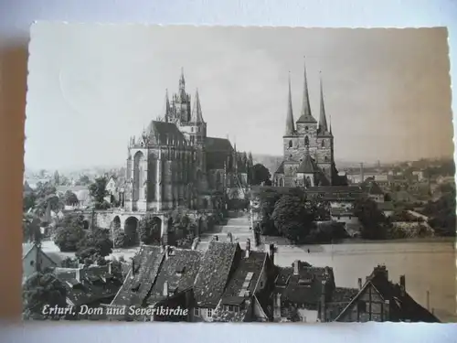 Alte AK Erfurt Dom u. Severikirche [W241]