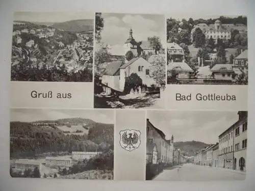 Alte AK Gruß aus Bad Gottleuba [W302]