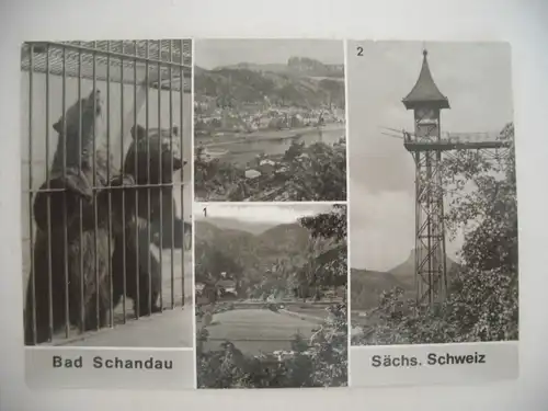Alte AK Bad Schandau Mehrbildkarte Bären Zoo[W303]