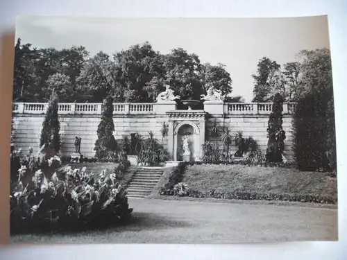 Alte AK Potsdam Sizilianischer Garten [W278]