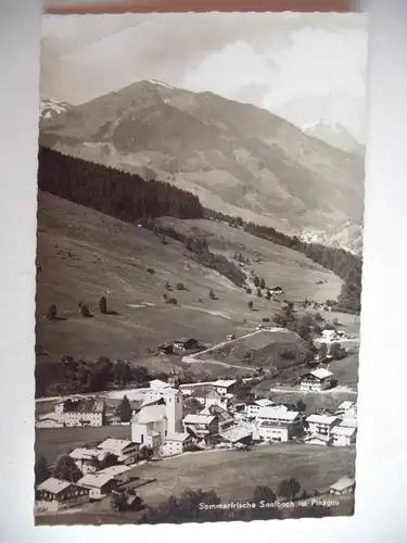 Alte AK Saalbach im Pinzgau [B866]