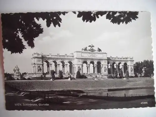 Alte AK Wien Schönbrunn Gloriette [B868]