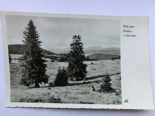 Alte AK Blick zum Belchen Schwarzwald [aP750]