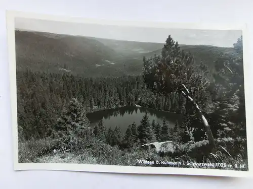 Alte AK Wildsee bei Ruhestein Schwarzwald [aP787]