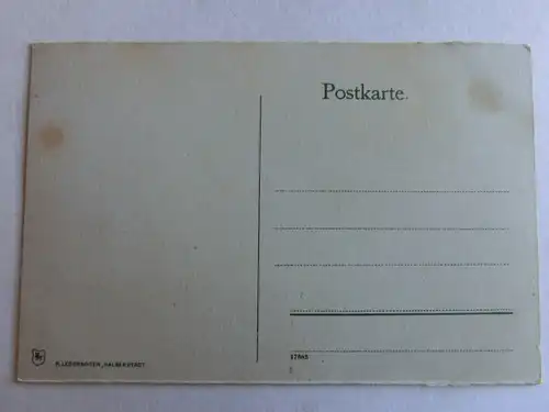 Alte AK Detmold Fürstliches Schloß um 1920 [aV10]